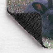 paires de tapis de souris de lapins (Coin)