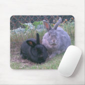 paires de tapis de souris de lapins (Avec souris)