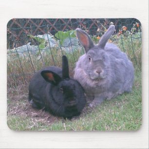 paires de tapis de souris de lapins
