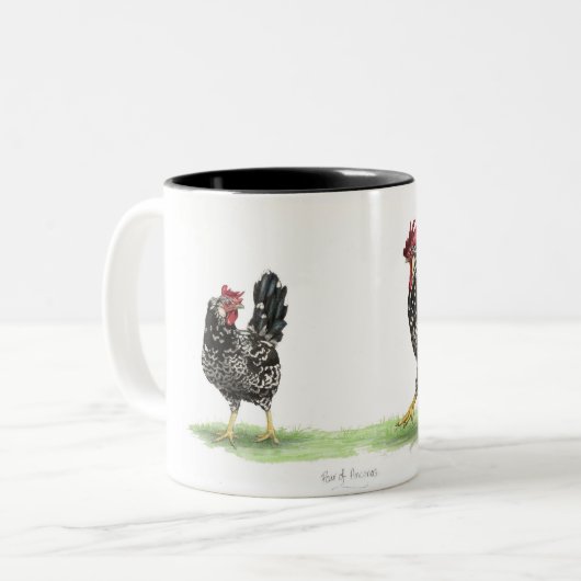 Paires de tasse de poulets d'Ancona (Devant gauche)