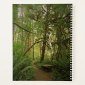 Paisible Green Forest Trail à Washington (Dos)
