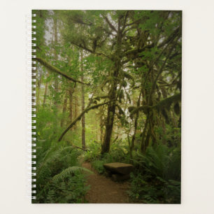 Paisible Green Forest Trail à Washington