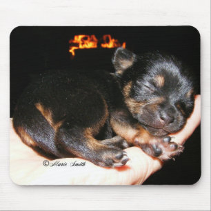 Paisley Marie 1 Muismat