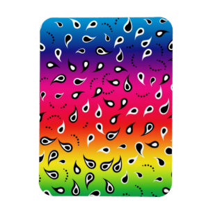 Paisley Rainbow Magneet