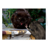 Paix ! (Devant horizontal)