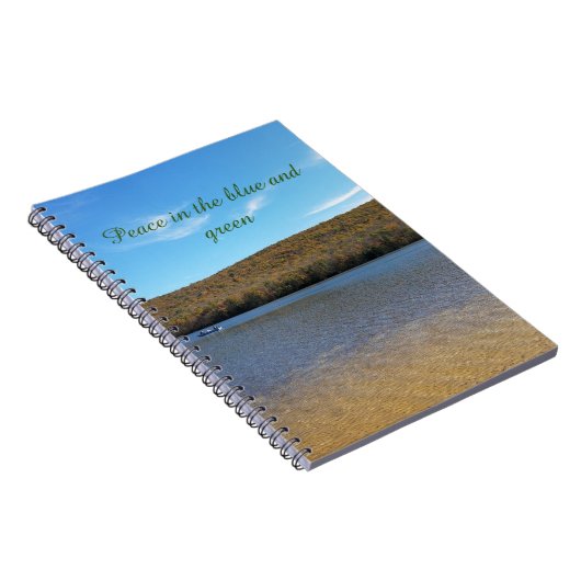 Paix dans le Journal bleu et vert (Côté Droit)