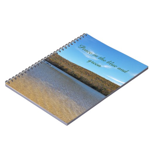 Paix dans le Journal bleu et vert (Côté gauche)