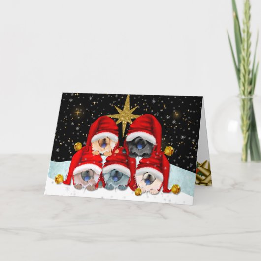 PAIX sur cartes d'art de la terre (Devant)