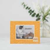 Pak. Briefkaart (Staand voorkant)