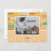 Pak. Briefkaart (Voorkant / Achterkant)