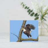 Pak de Leap. Briefkaart (Staand voorkant)