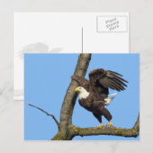 Pak de Leap. Briefkaart (Voorkant / Achterkant)