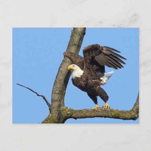 Pak de Leap. Briefkaart (Voorkant)