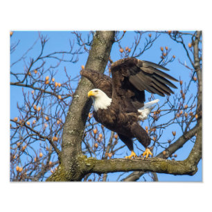 Pak de Leap. Foto Afdruk