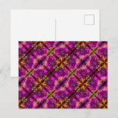 Pak me als je Pinky kunt. Briefkaart (Voorkant / Achterkant)