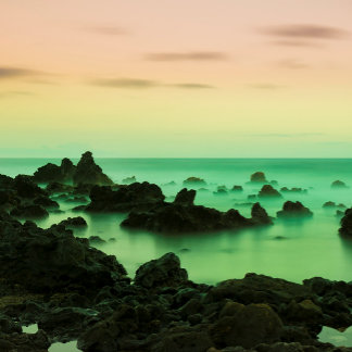 PAKE SAUMON - HAWAIIAN FINE ART CALENDRIER 2024