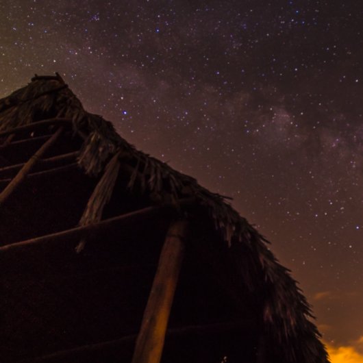 PAKE SAUMON - HAWAIIAN FINE ART CALENDRIER 2024