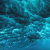 PAKE SAUMON - HAWAIIAN FINE ART CALENDRIER 2024