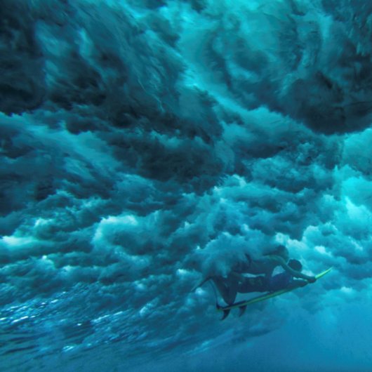 PAKE SAUMON - HAWAIIAN FINE ART CALENDRIER 2024