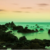 PAKE SAUMON - HAWAIIAN FINE ART CALENDRIER 2024