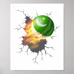Pakistaanse Cricket-supporters Kit Cadeau Pakistan Poster