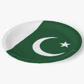 Pakistaanse vlag papieren bordje (Gekanteld)