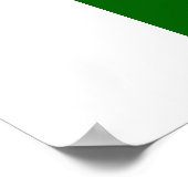 Pakistaanse vlag poster (Hoek)