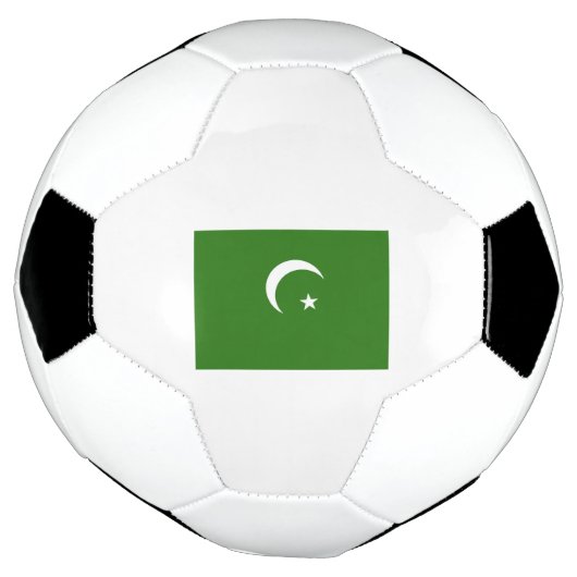 Pakistan Flag Emblem (Tourné)