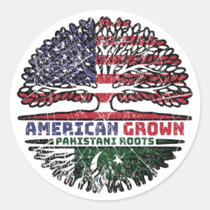 Pakistan Pakistani American American USA Verenigde Ronde Sticker