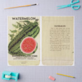 pakket watermeloenen en instructies tissuepapier (Craft)