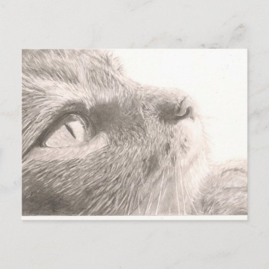 Pakketten om te denken briefkaart (Voorkant)