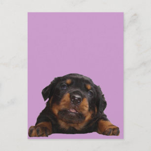 Pakketten om te denken briefkaart