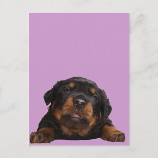 Pakketten om te denken briefkaart