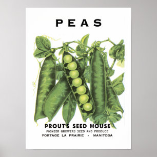 Pakketten voor zaad van erwten poster