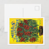 Pakketten voor zaaizaad briefkaart (Voorkant / Achterkant)