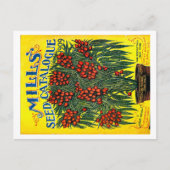 Pakketten voor zaaizaad briefkaart (Voorkant)