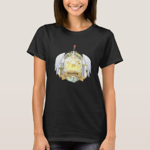 Paladin Class Alignment Dice Dungeon Role Mas T-shirt