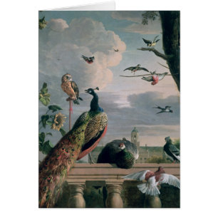 Palais d'Amsterdam avec les oiseaux exotiques