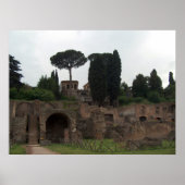 Palatine Hill in Rome, Italië Poster (Voorkant)