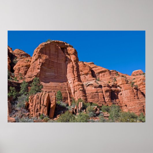 Palatki Red Rocks 3285 Poster (Voorkant)