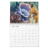 Palau Kalender (Mar 2027)