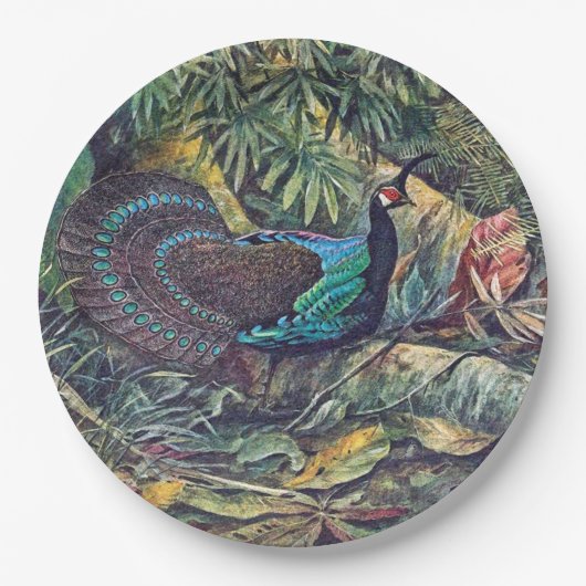 Palawan Peacock Pheasant Bird Paper Bord (Voorkant)