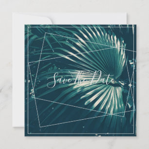 Pale Green Palm Tree Leaf Enregistrer La Carte Pla