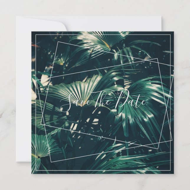 Pale Green Palm Tree Leaf Enregistrer La Carte Pla (Devant)