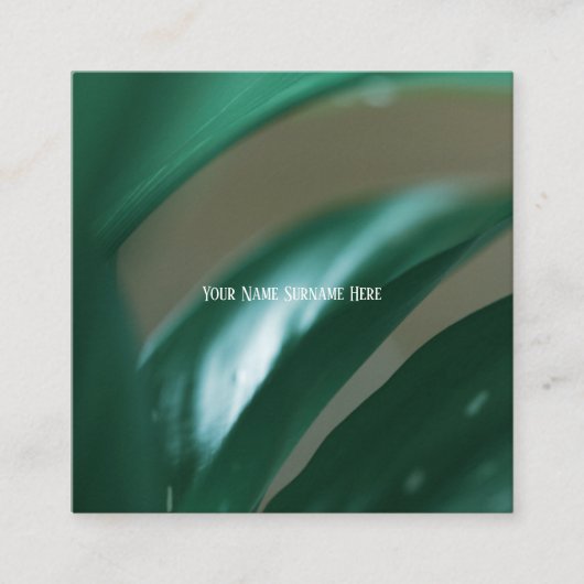 Pale Green Plantes Feuilles Nature Sentir Carte de (Devant)