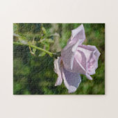 Pale Lilac Tea Rose Jigsaw Puzzle (Horizontal)