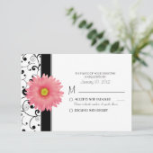 Pale Pale Gerbera Daisy Black Scroll Design RSVP (Debout devant)