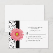 Pale Pale Gerbera Daisy Black Scroll Design RSVP (Devant / Derrière)