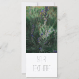 Pale Purple Lavender Ajouter Votre Carte Plat Text