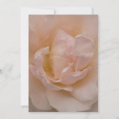 Pale Rose Quinceanera Party Invitation (Dos)